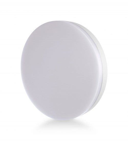 Raggalux Frisbee